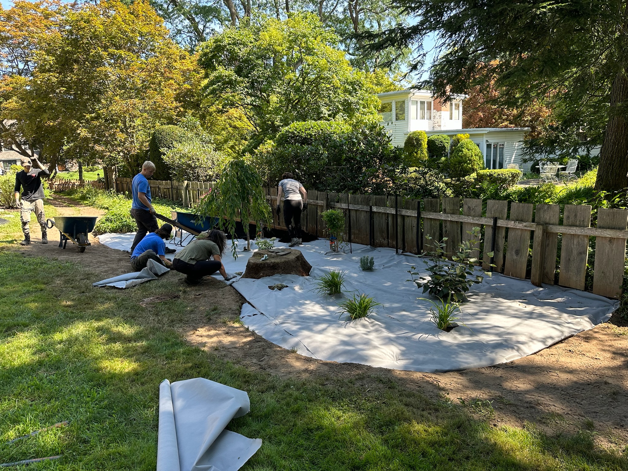 2023 garden upgrade before photo 1